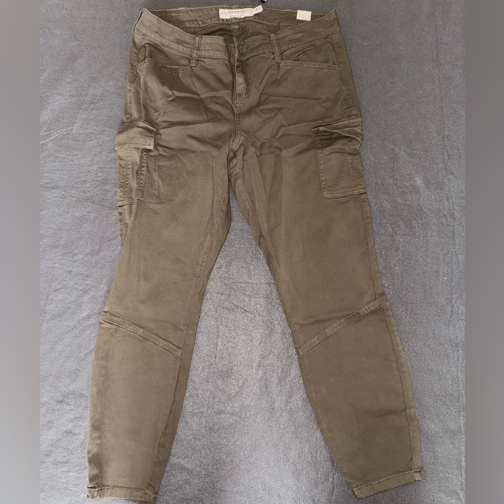 New Torrid Cargo Pants